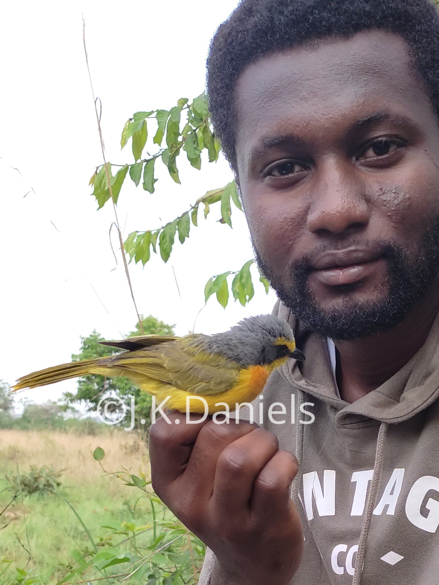Joseph K. Daniels – Ornithologist